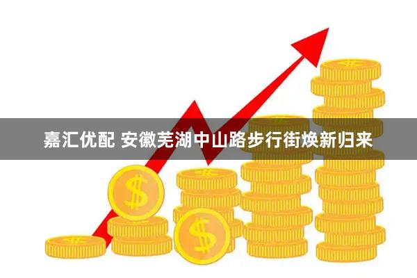 嘉汇优配 安徽芜湖中山路步行街焕新归来