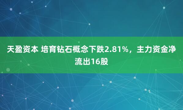 天盈资本 培育钻石概念下跌2.81%，主力资金净流出16股